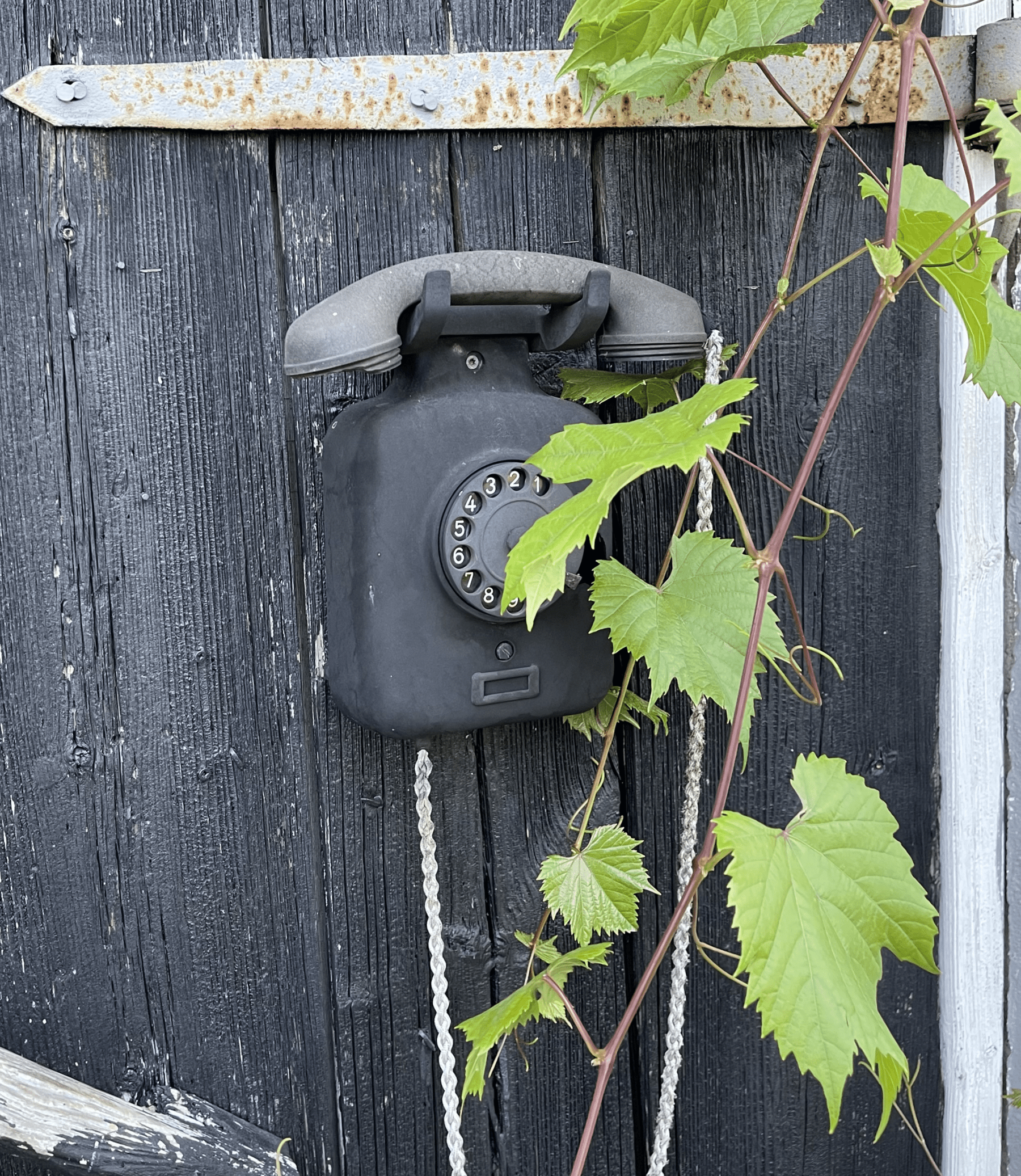 Voimauttava pysäkki yhteystiedot